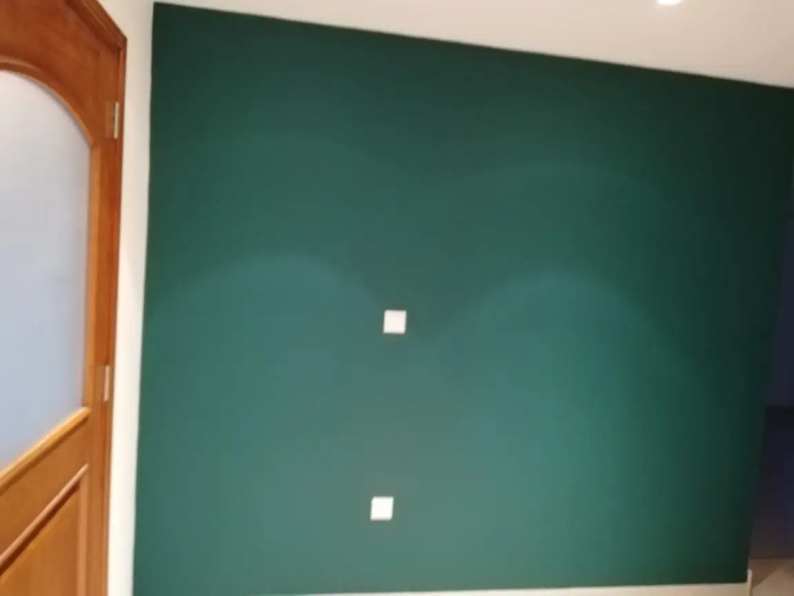 Premium Painting Services for Residential and Commercial Properties 18 Dubai Renovation Services | Dubai Renovation Company